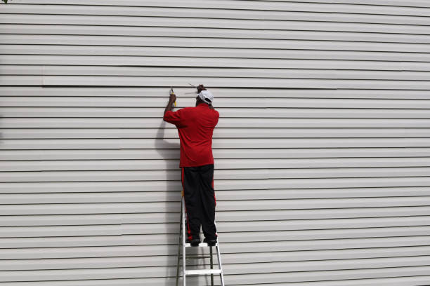 Best Siding Painting and Refinishing  in Audubon Park, KY